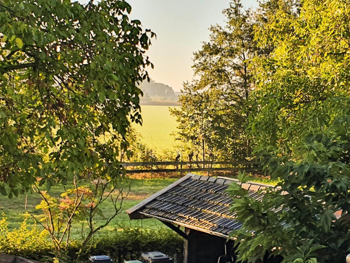 B&B De Nieuwenhof 'De Tuinkamer' Melderslo Esterno foto